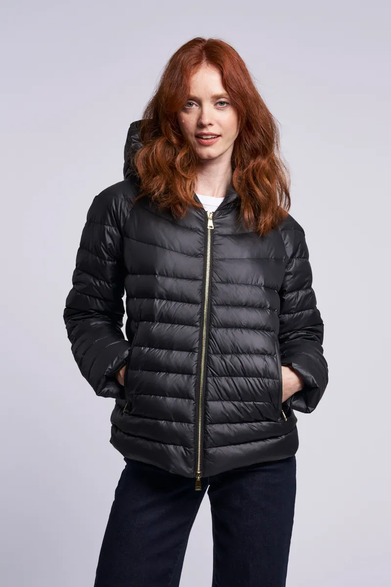 497HD Hooded down jacket  Special $275