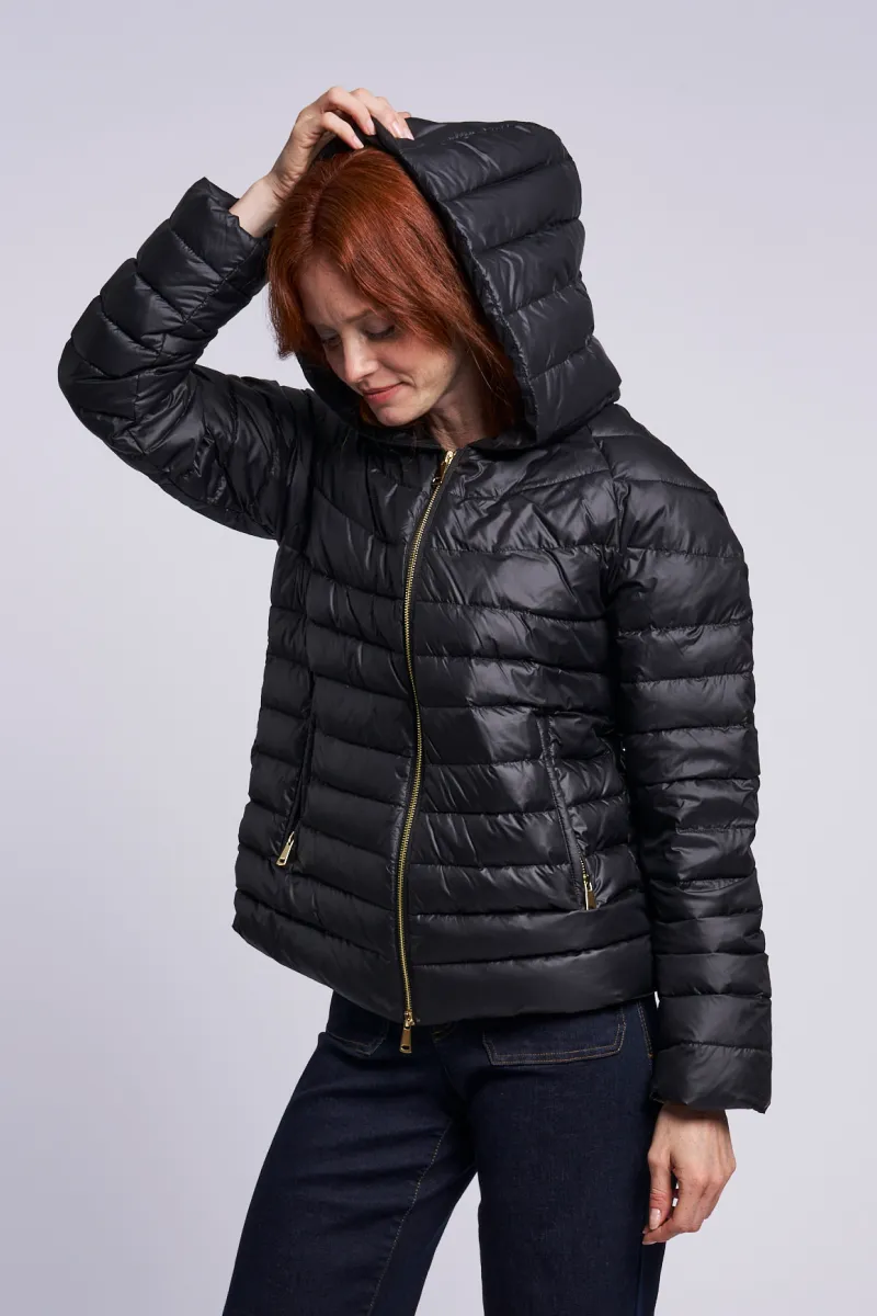 497HD Hooded down jacket  Special $275