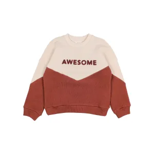 6659-AWESOME SWEATSHIRT-Henna