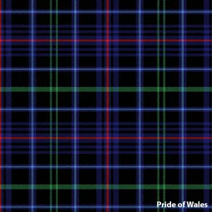 Welsh Tartan Scarves